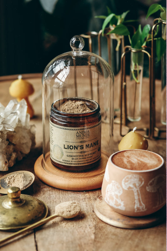 Lion's Mane Mushroom Powder