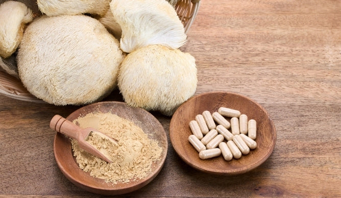 paddenstoelen supplement