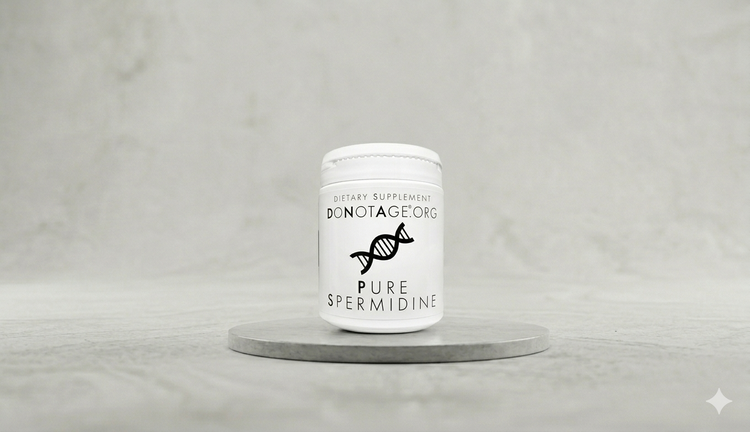 spermidine supplement