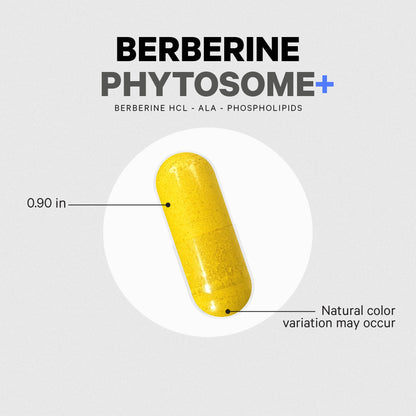 Codeage Berberine Phytosome+ Capsules - capsule