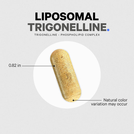 Codeage Liposomal Trigonelline Capsules - product