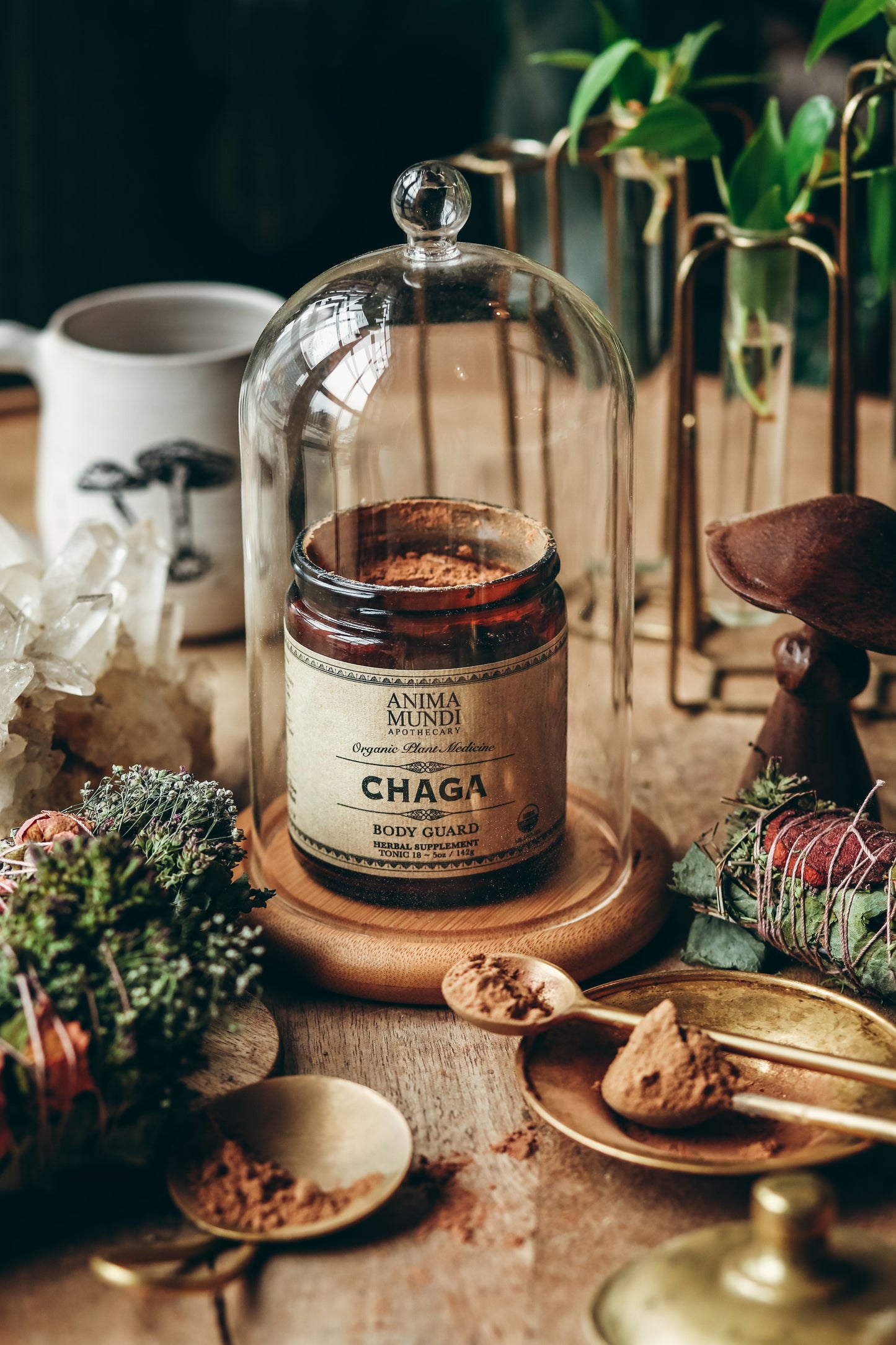 Chaga Mushroom Powder